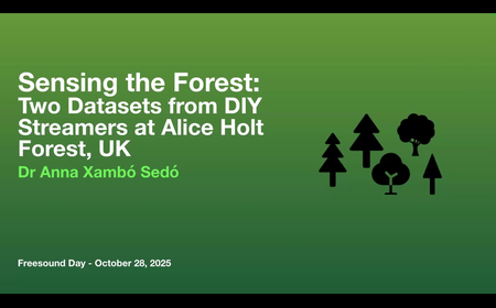 Sensing the Forest: Exploring Climate Change Through Soundscape Datasets from DIY Streamers at Alice Holt Forest